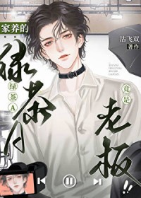 我的修真界传奇